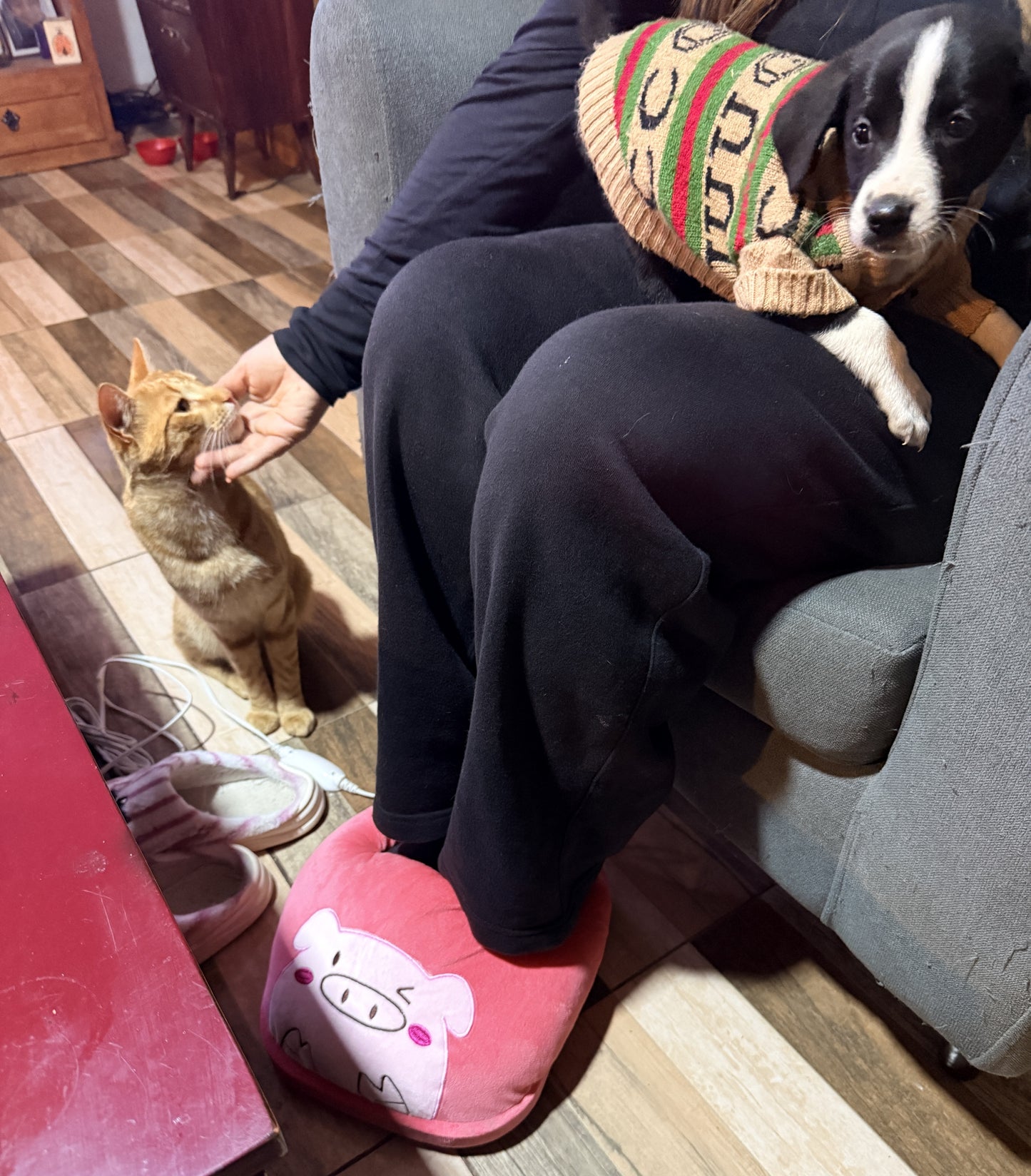 CozyPaws™ — Calor Suave al Instante