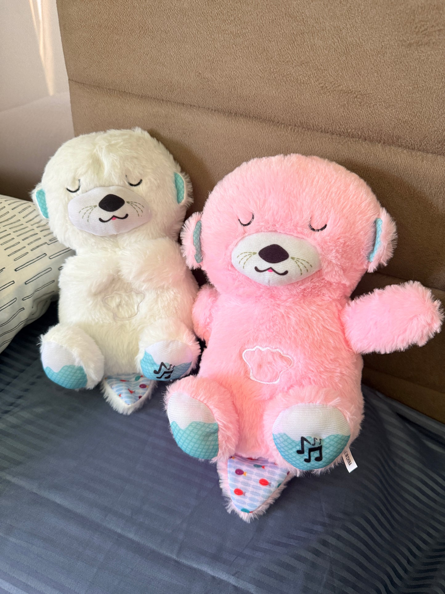 DreamOtter™ – Peluche Nutria Dormilona.
